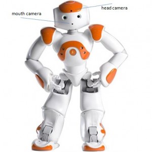 Pour l'acquisition vidéo, les chercheurs ont utilisé seulement la caméra située sur la tête du robot.