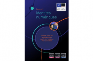 Identités numériques, CVPIP