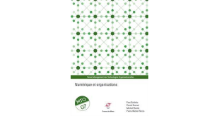 Numérique, Organisations, Management, Mines Alès