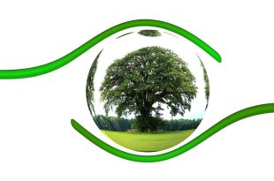 political ecology, écologie politique, Fabrice Flipo, Télécom École de Management