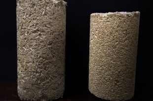 Des bétons écologiques ? Deux exemples avec un béton réalisé à partir de chaux et de chanvre (à gauche) et un autre à partir de chaux et de balle de riz (à droite).