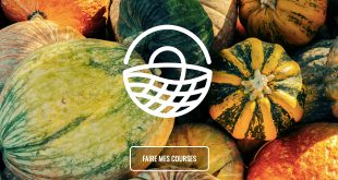 Open Food France, une plateforme spécialisée dans les circuits courts alimentaires. Capture d'écran de la page d'accueil.