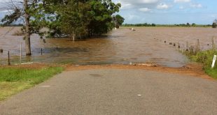 flood water level