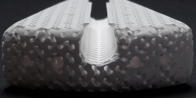 Photographie d'un implant osseux à base de phosphate de calcium conçus par l'équipe de David Marchat.