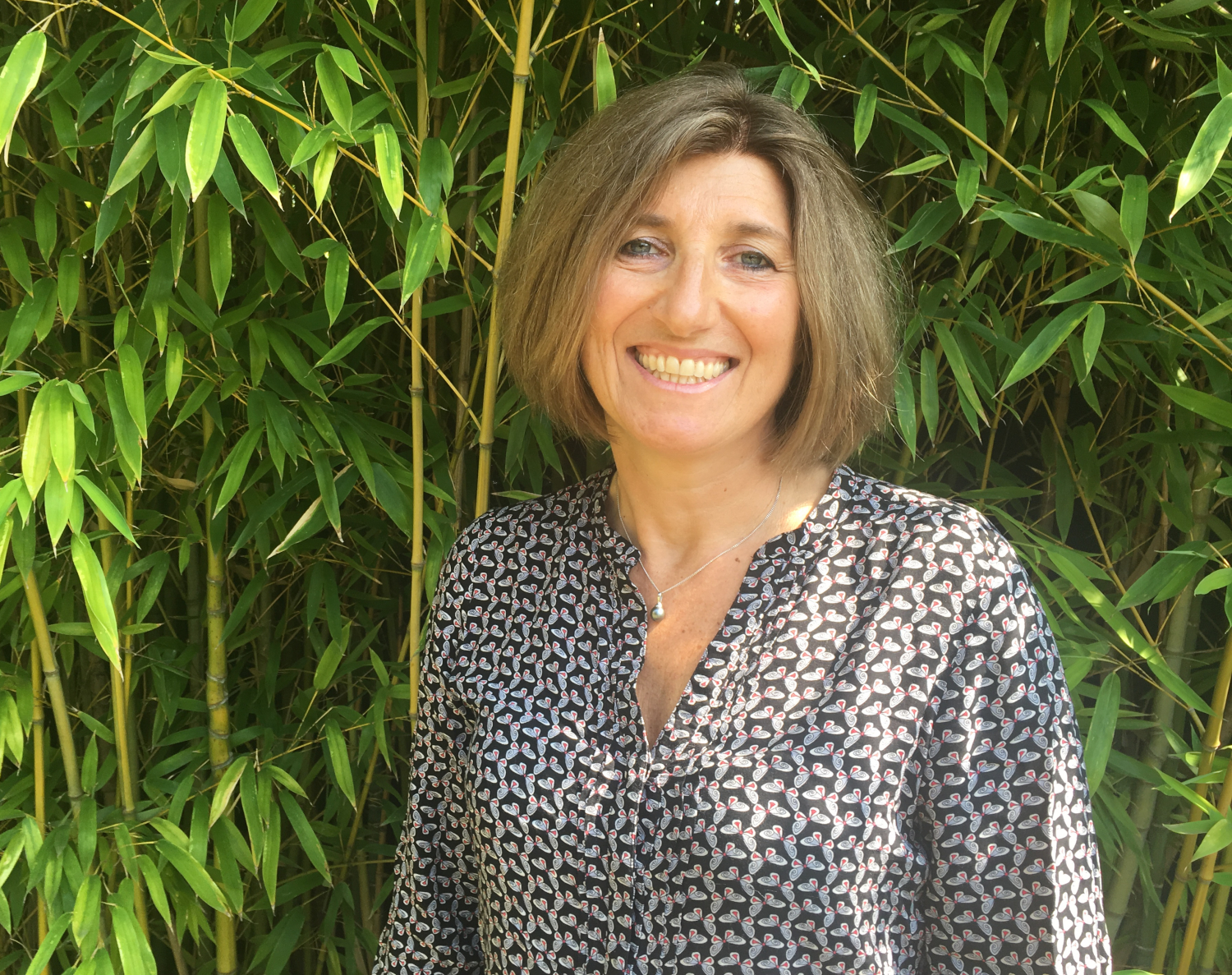 Véronique Bellon-Maurel, Grand Prix IMT-Académie des Sciences 2019.