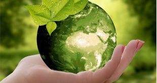 écoconcpetion - Image d'un globe terrestre vert