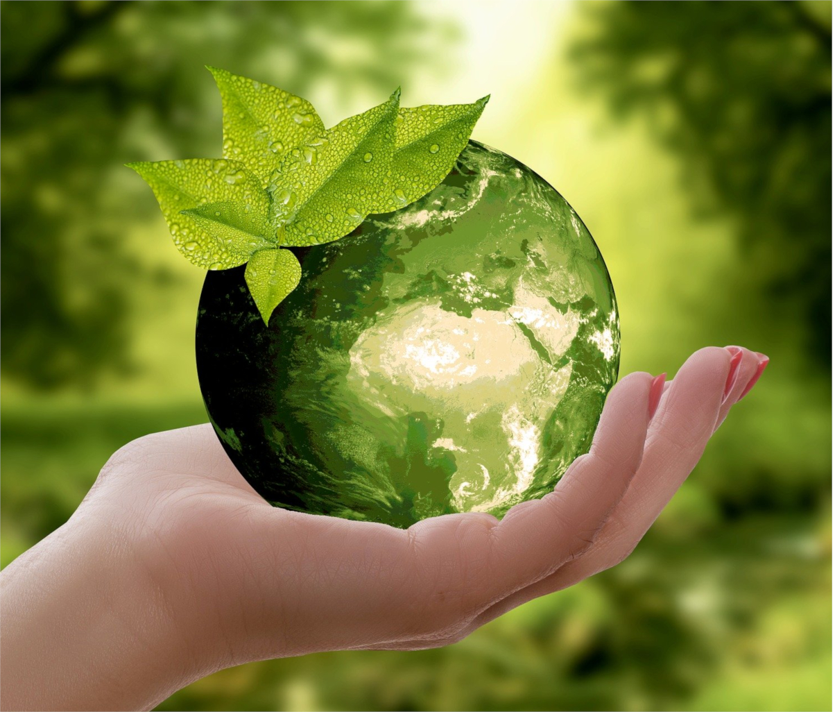 Image d'un globe terrestre vert - écoconception, eco-design