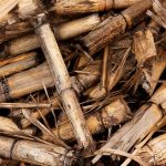 Biomasse, biodéchets