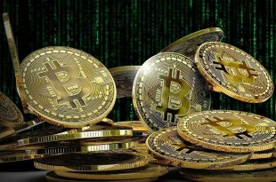 cryptomonnaies