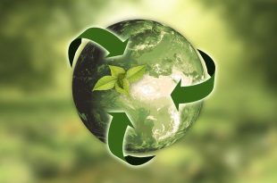 économie circulaire, impact environnemental